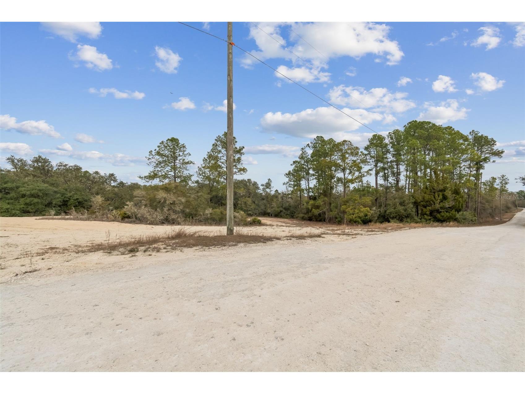 Hardstone Drive Webster FL 33597 TB8463602 image10