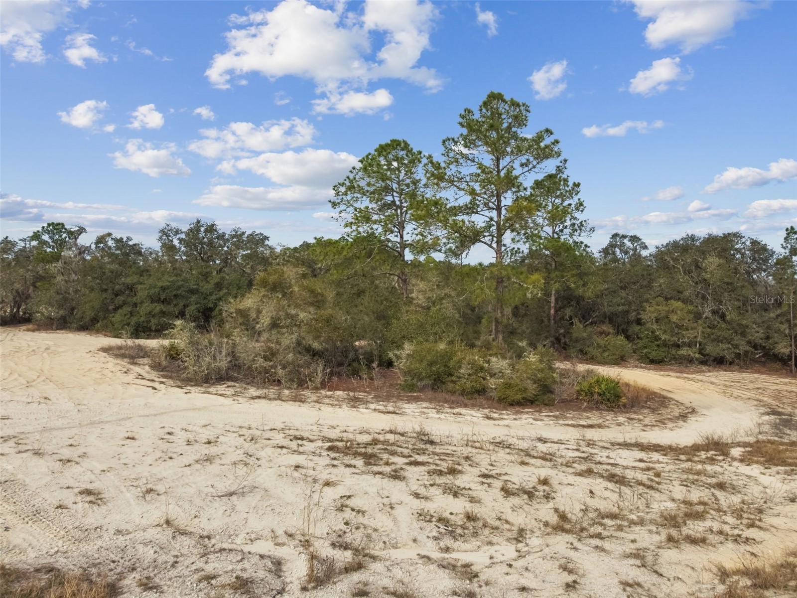 Hardstone Drive Webster FL 33597 TB8463602 image11