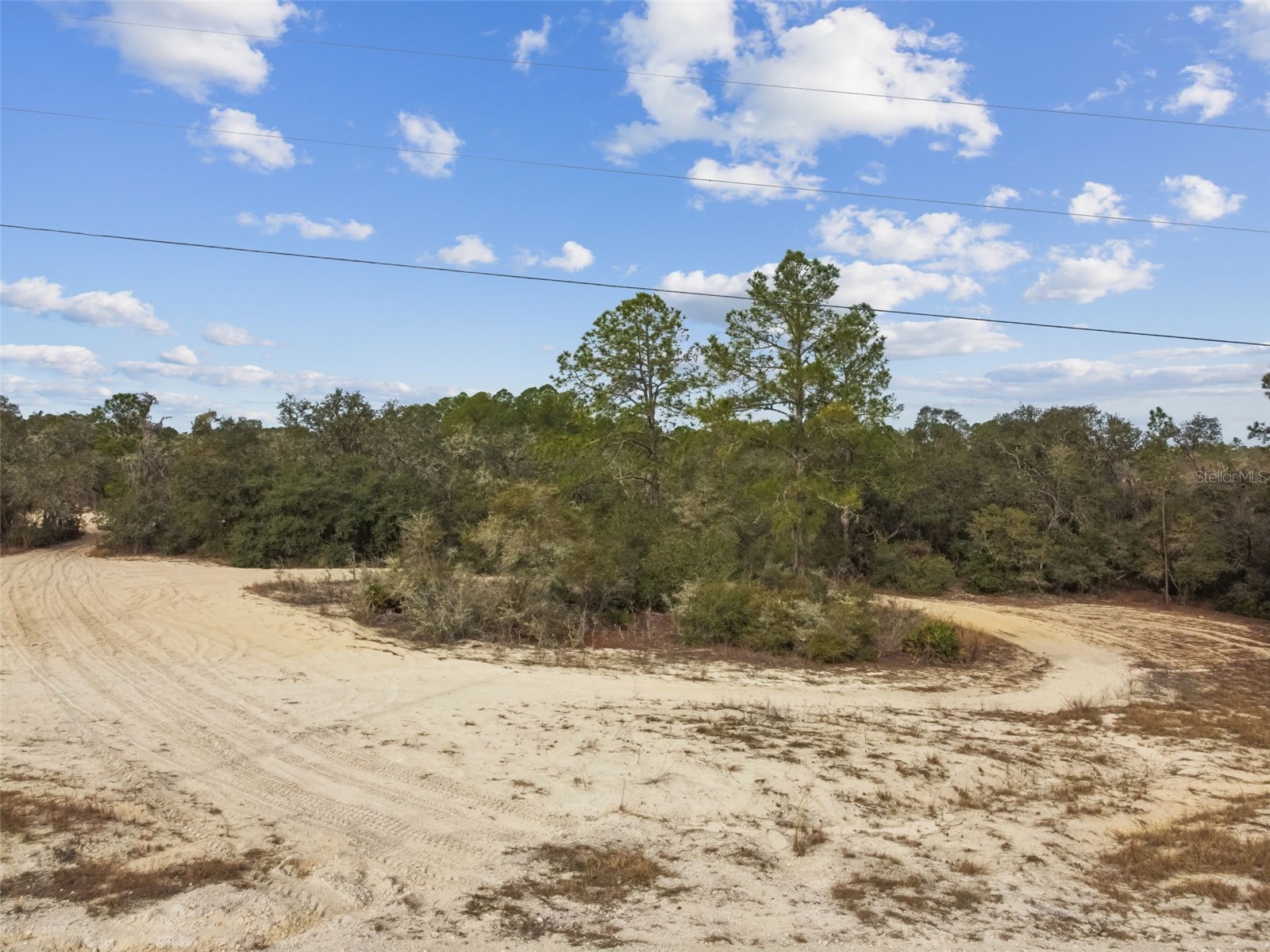 Hardstone Drive Webster FL 33597 TB8463602 image12