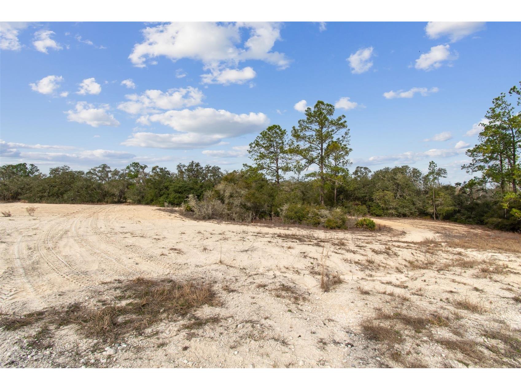 Hardstone Drive Webster FL 33597 TB8463602 image2