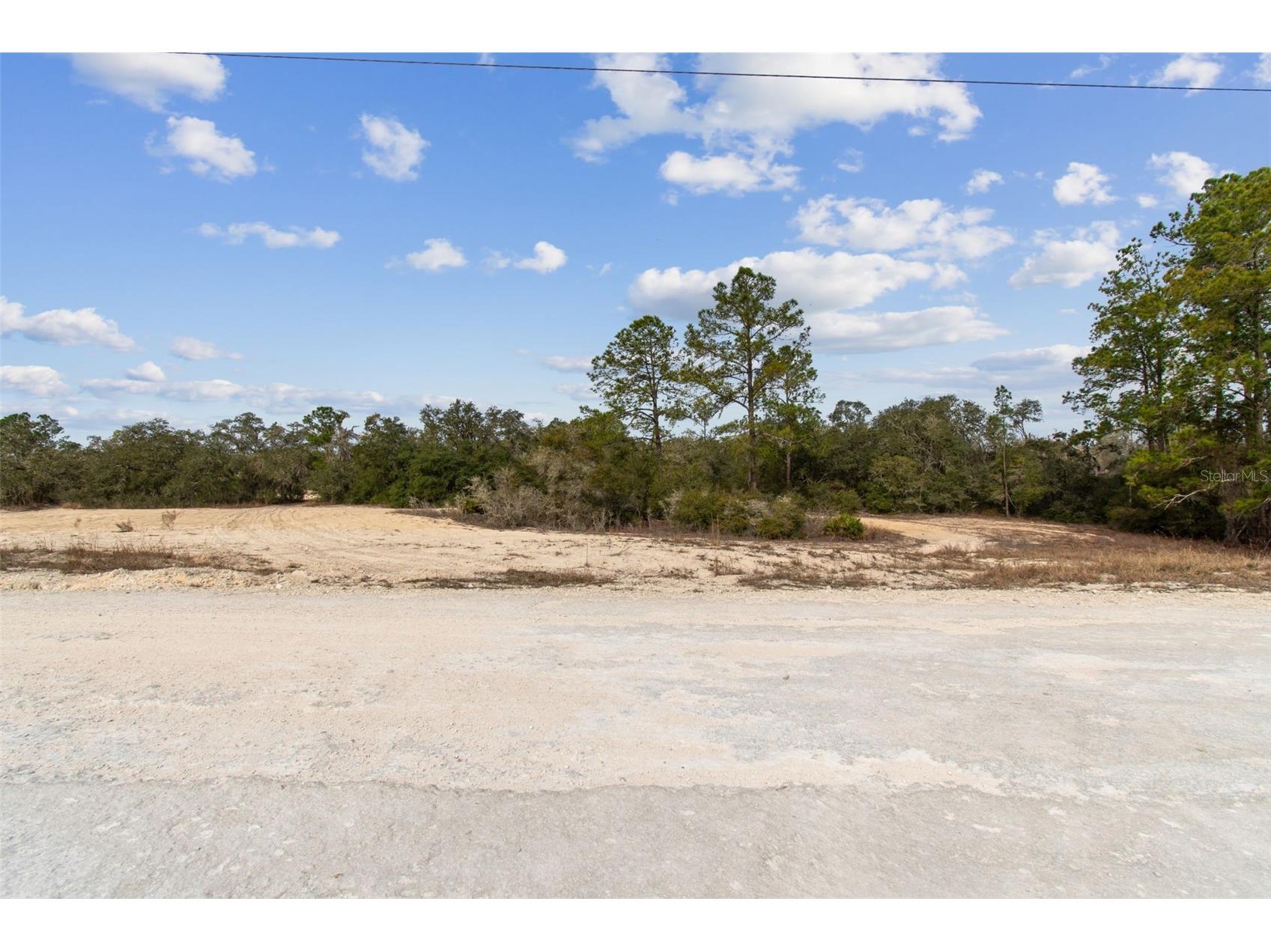 Hardstone Drive Webster FL 33597 TB8463602 image3