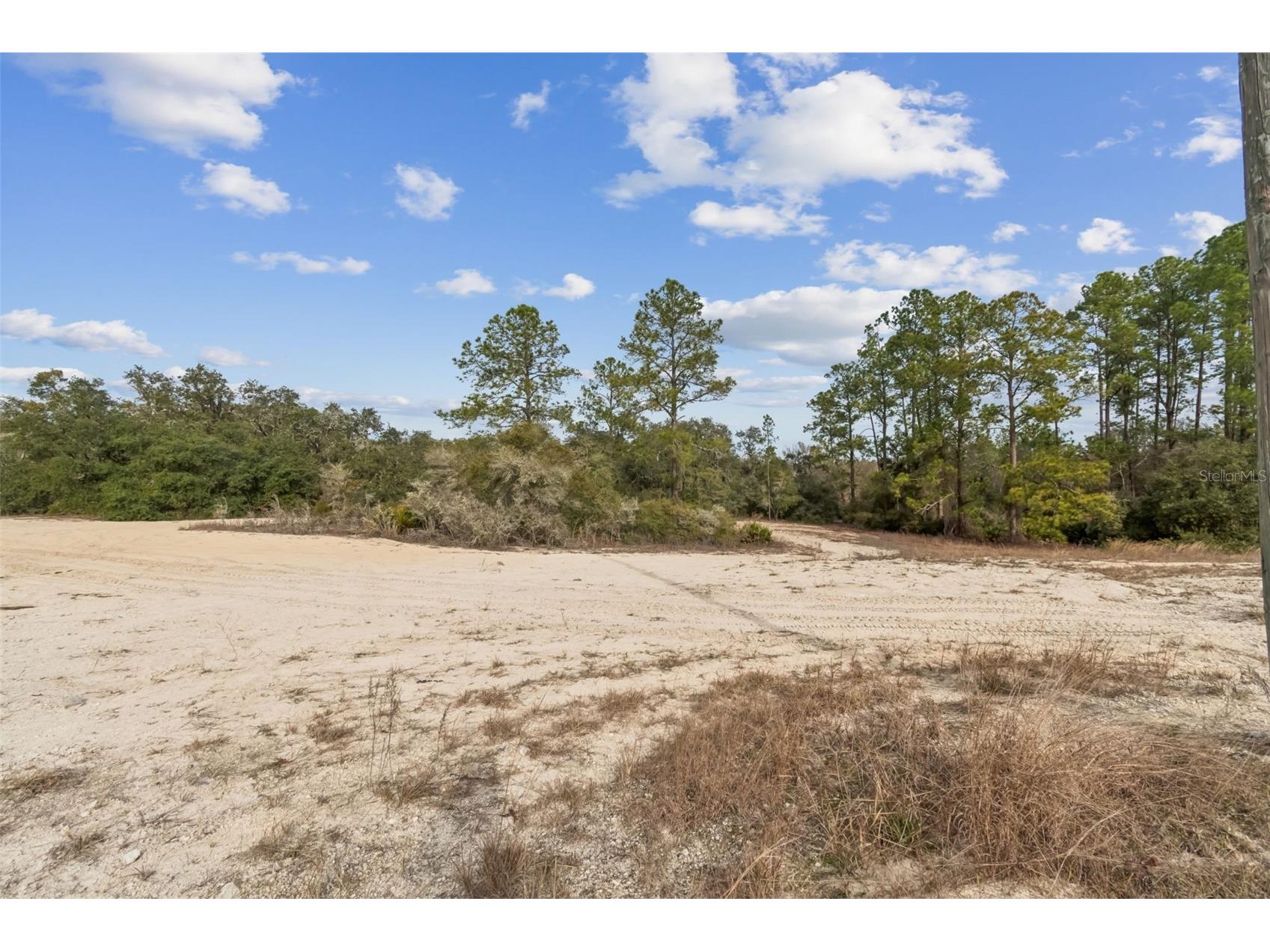 Hardstone Drive Webster FL 33597 TB8463602 image4