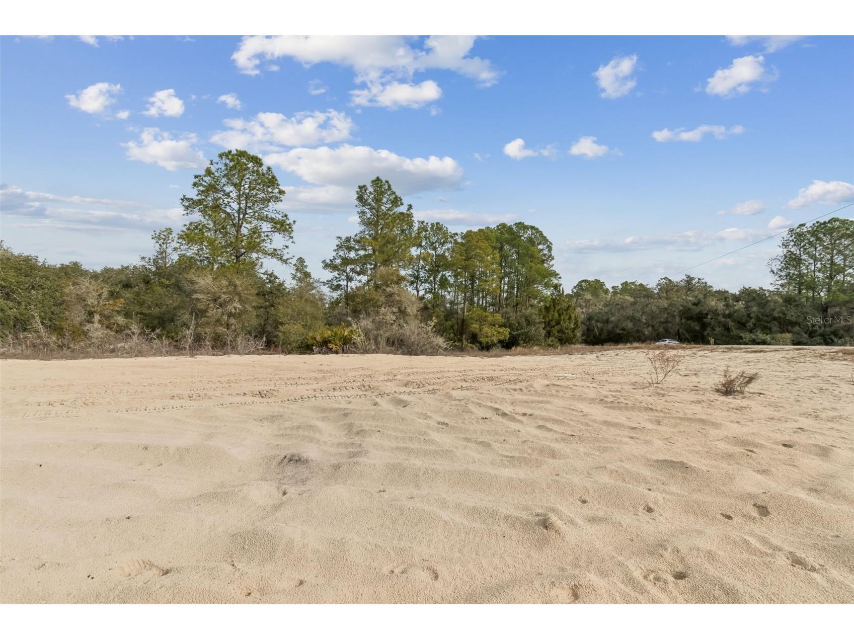 Hardstone Drive Webster FL 33597 TB8463602 image5