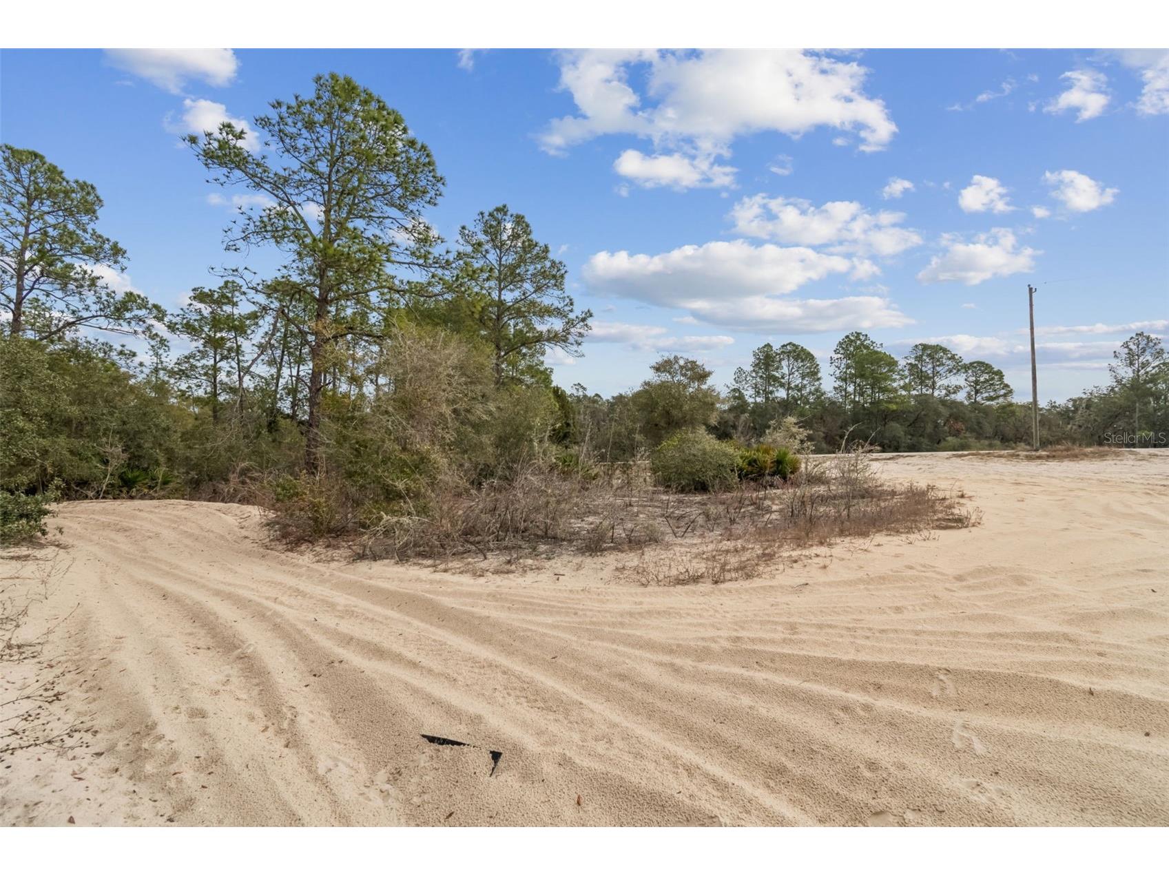 Hardstone Drive Webster FL 33597 TB8463602 image6