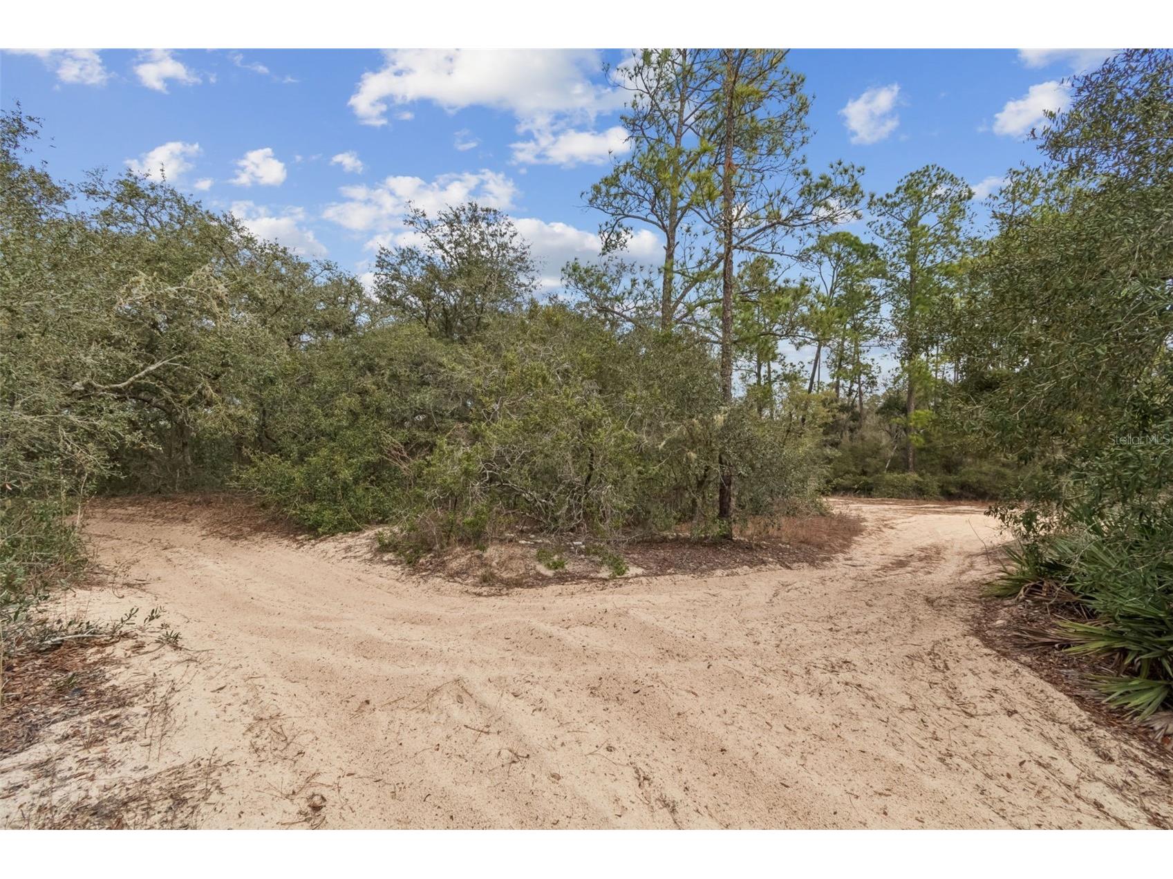 Hardstone Drive Webster FL 33597 TB8463602 image7