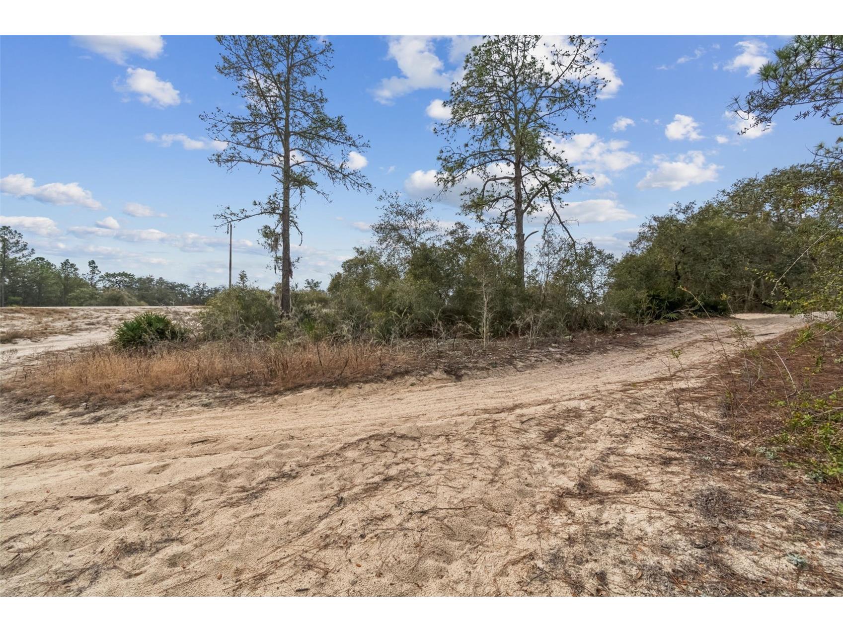 Hardstone Drive Webster FL 33597 TB8463602 image8