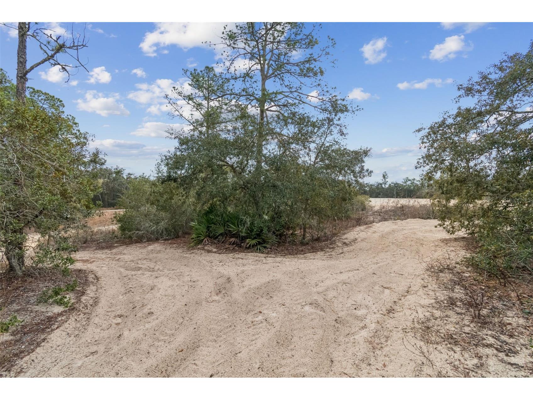 Hardstone Drive Webster FL 33597 TB8463602 image9