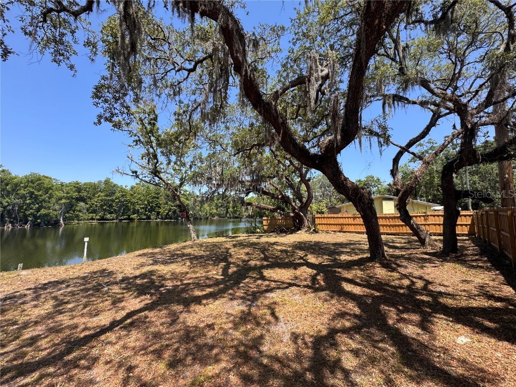 Harney Tampa FL 33617 T3542590 image3