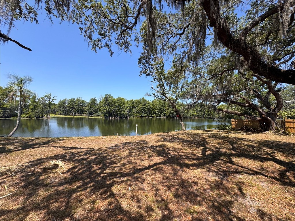 Harney Tampa FL 33617 T3542590 image4