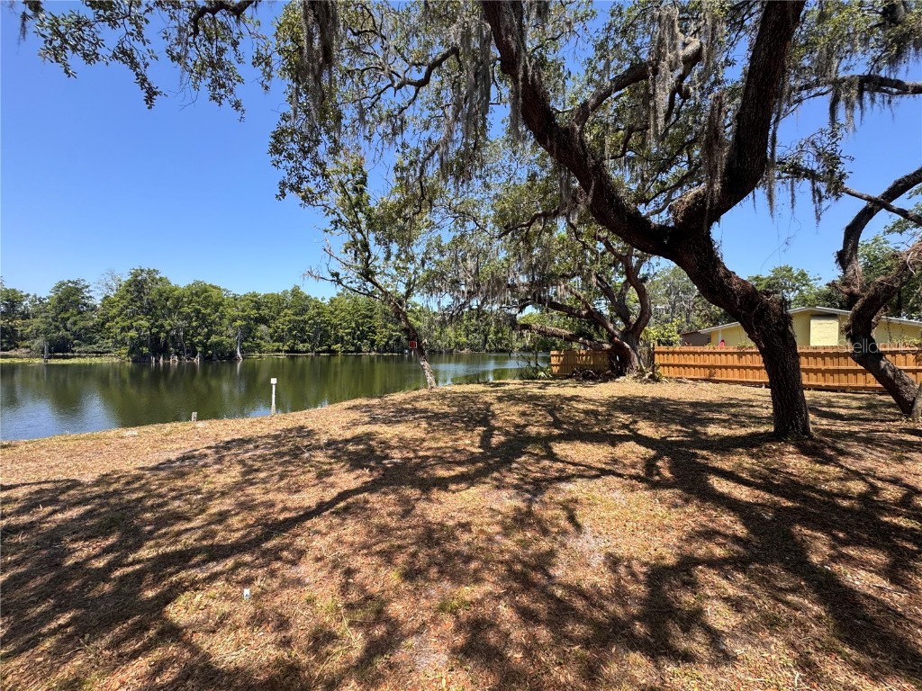 Harney Tampa FL 33617 T3542590 image5