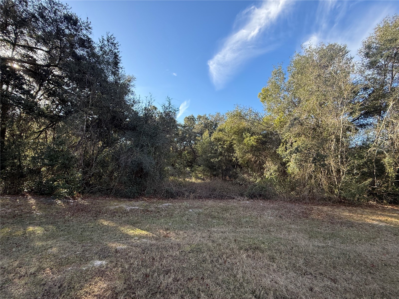 Harris Lake Road Lady Lake FL 32159 G5107058 image10