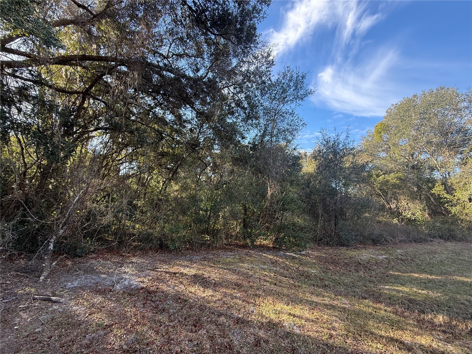 Harris Lake Road Lady Lake FL 32159 G5107058 image11