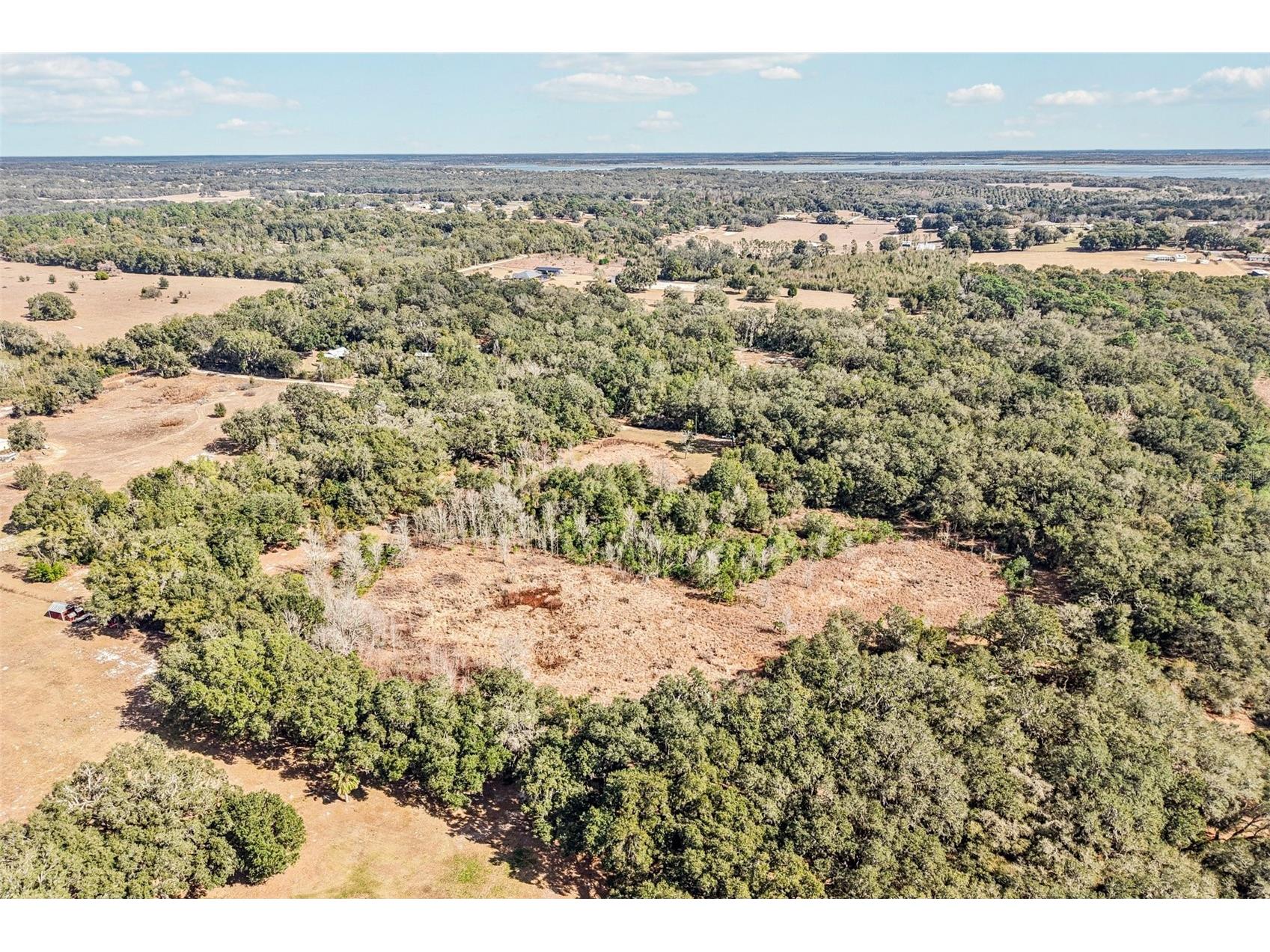 Harris Lake Road Lady Lake FL 32159 G5107058 image4