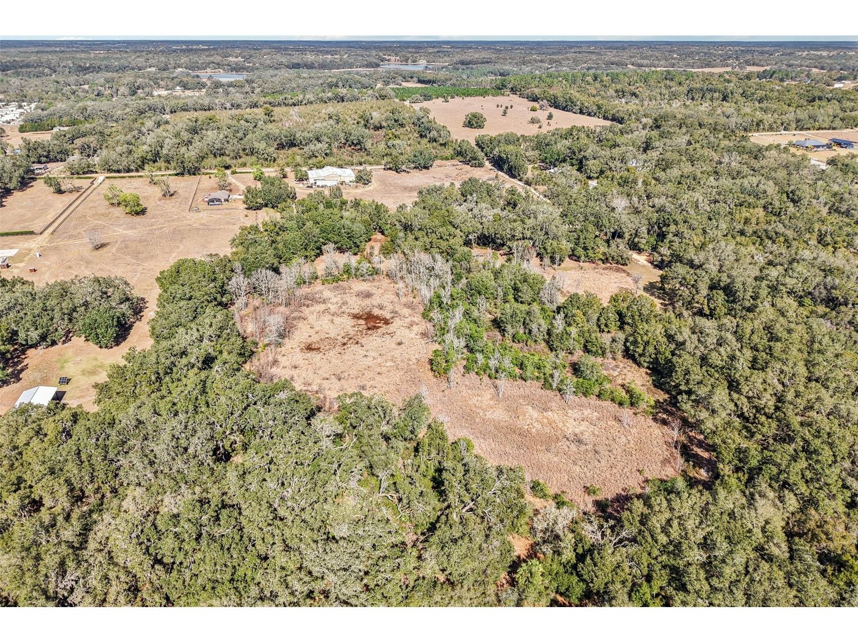 Harris Lake Road Lady Lake FL 32159 G5107058 image5