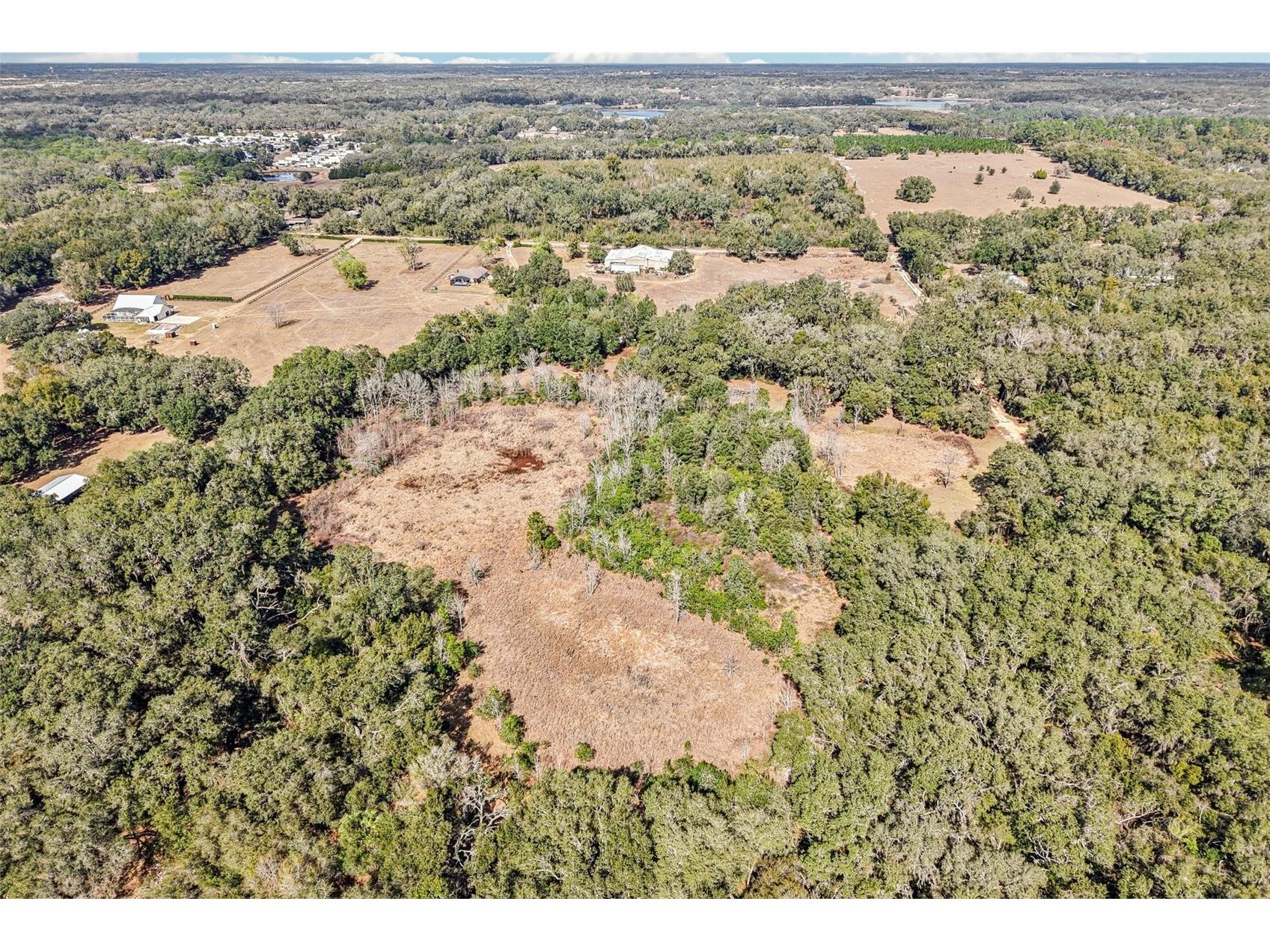 Harris Lake Road Lady Lake FL 32159 G5107058 image6