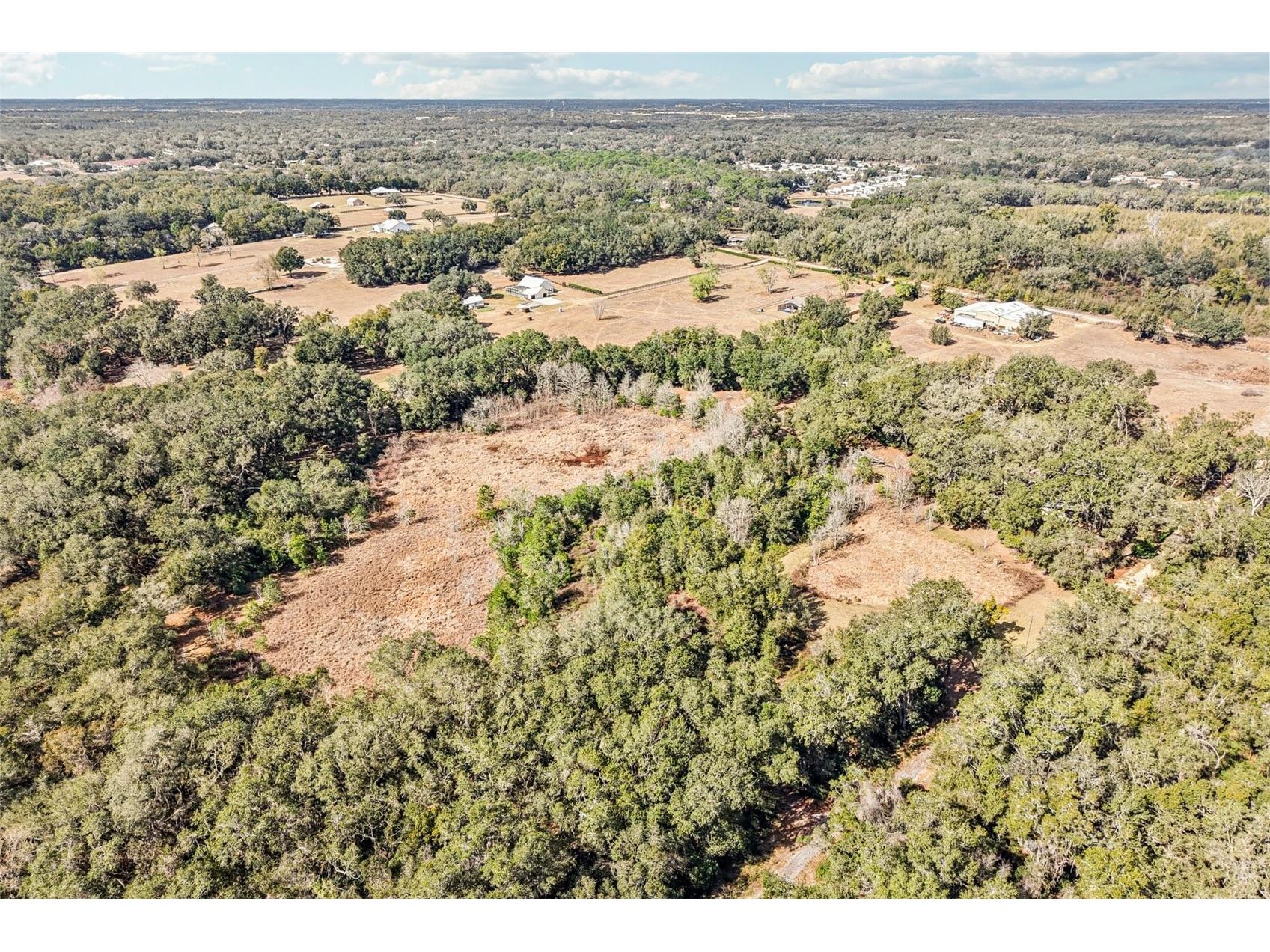 Harris Lake Road Lady Lake FL 32159 G5107058 image7