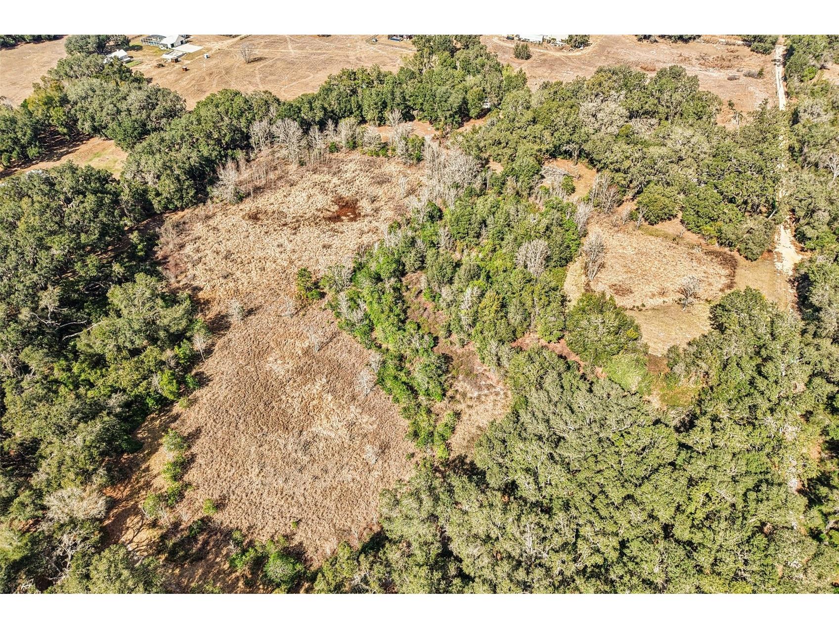 Harris Lake Road Lady Lake FL 32159 G5107058 image8