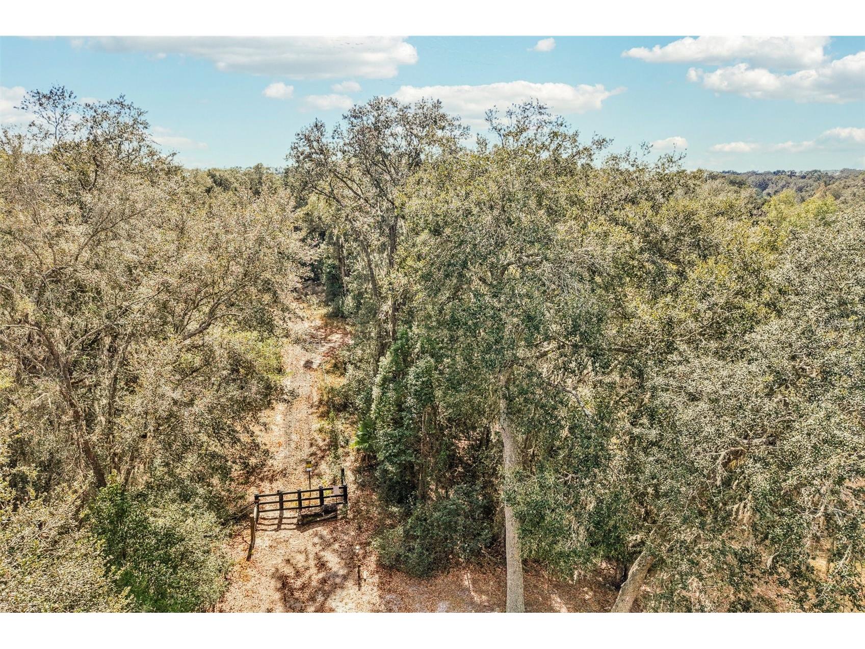 Harris Lake Road Lady Lake FL 32159 G5107058 image9