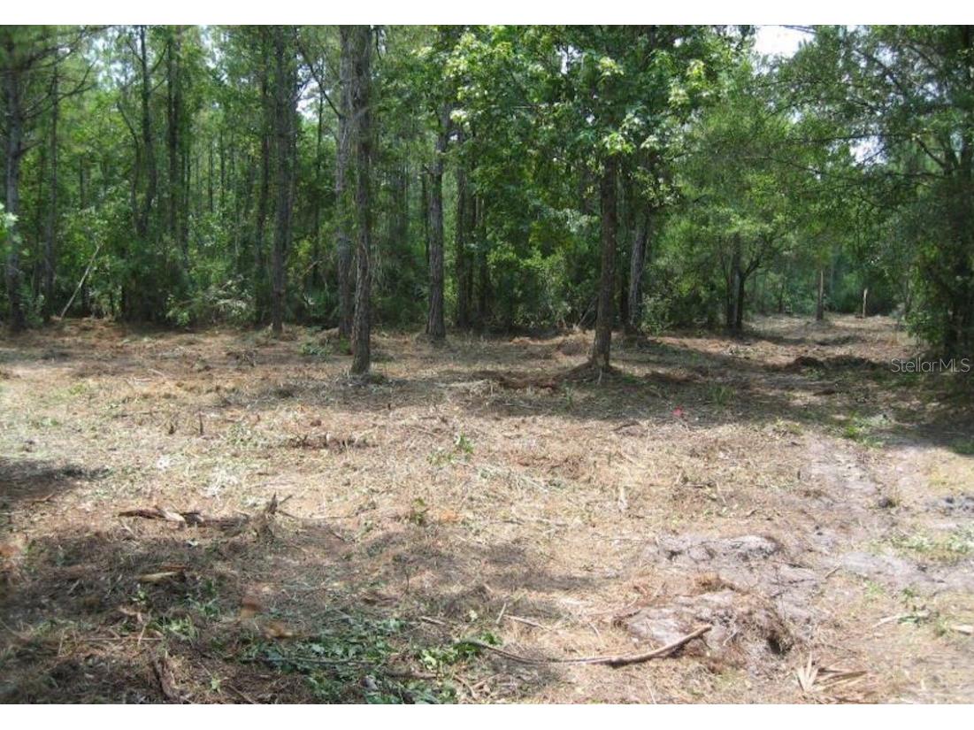 Harrison Road #102 Mims FL 32754 J963409 image1
