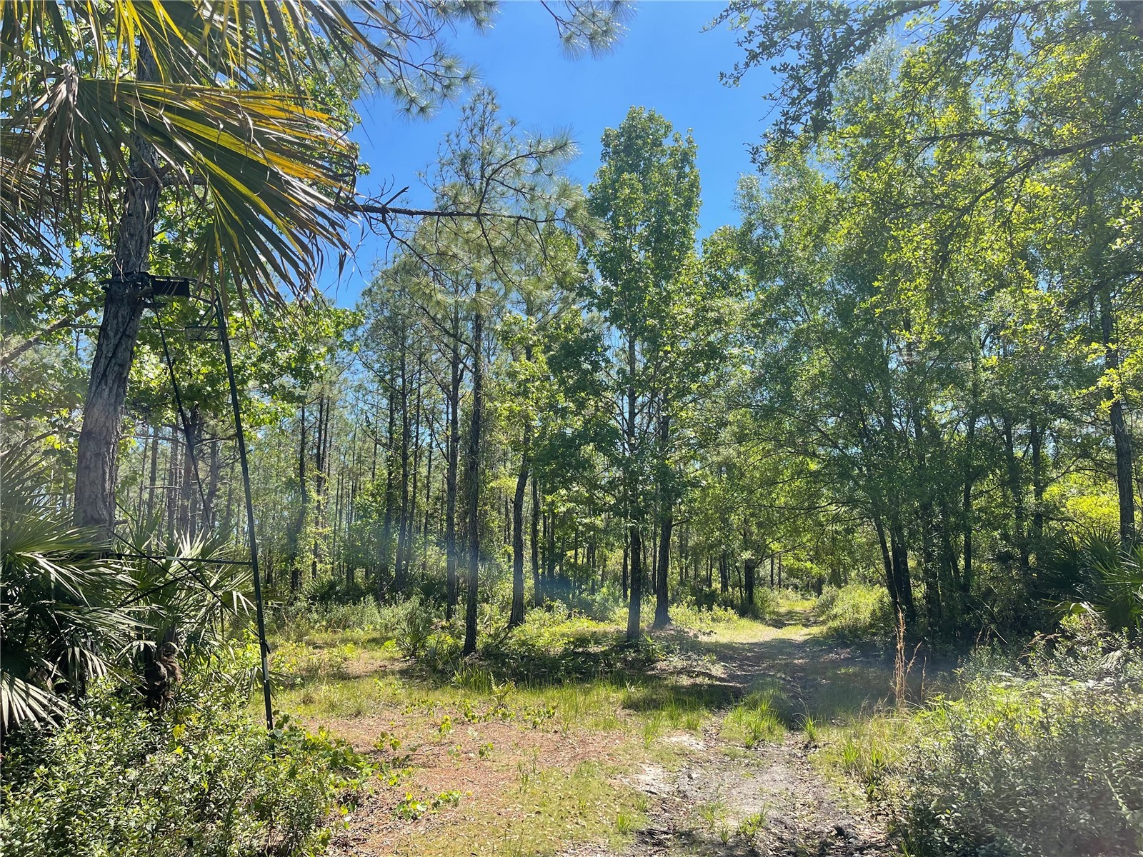 Harrison Road Mims FL 32754 O6391582 image1