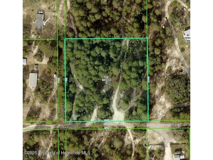 Harrison Street Brooksville FL 34613 W7879037 image1