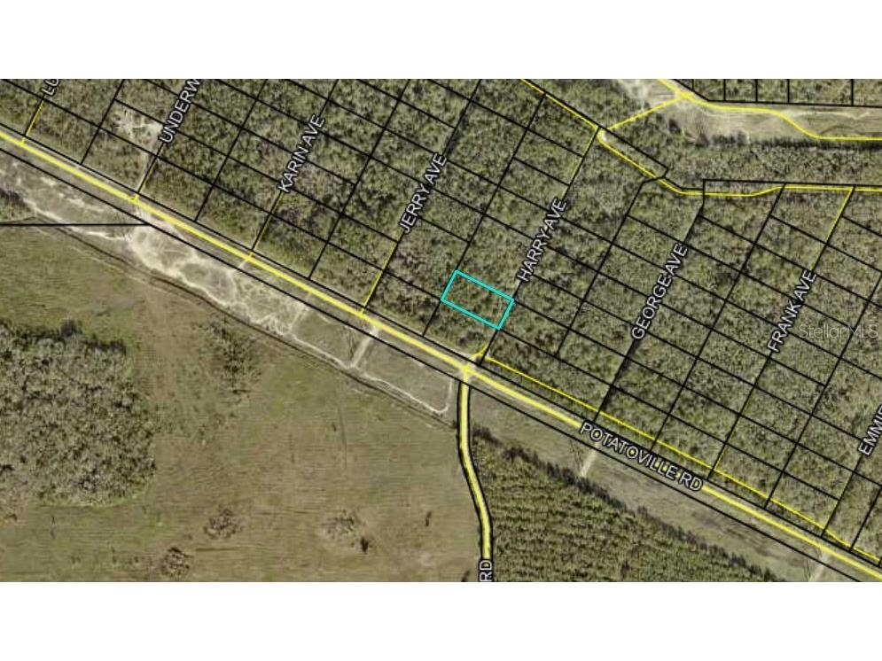 Harry Avenue Hastings FL 32145 FC294349 image1