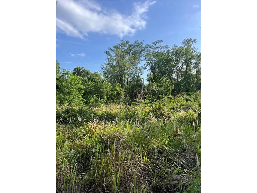 Harvest Lane Kissimmee FL 34744 O6306704 image1