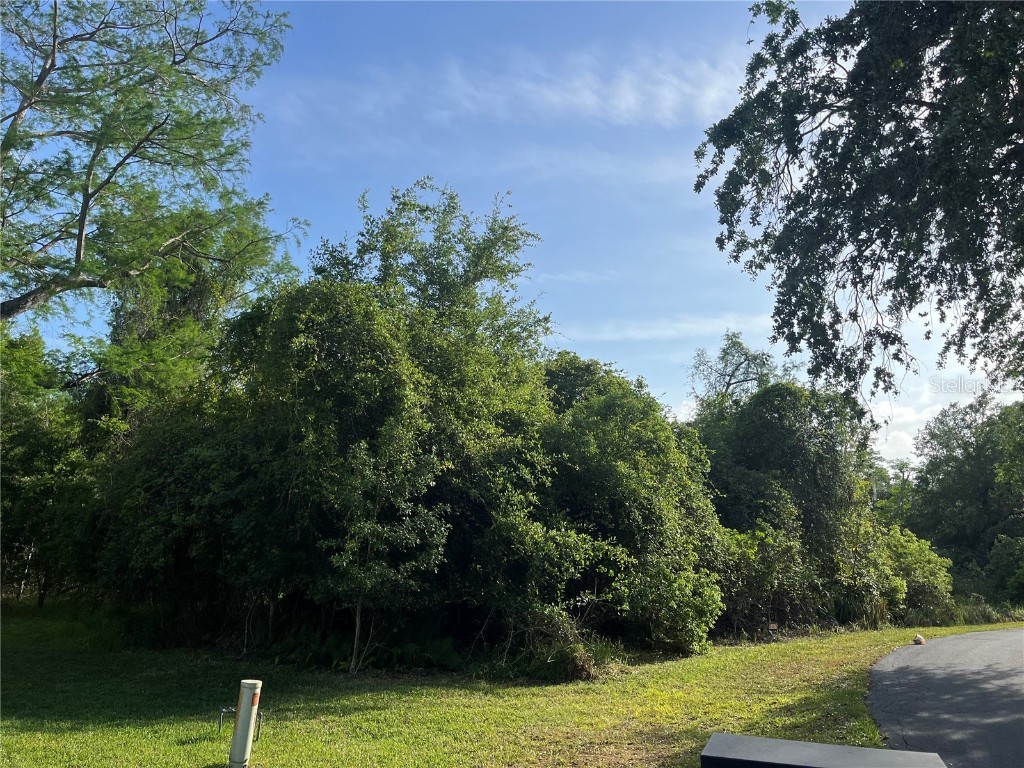 Harvest Lane Kissimmee FL 34744 O6306704 image10