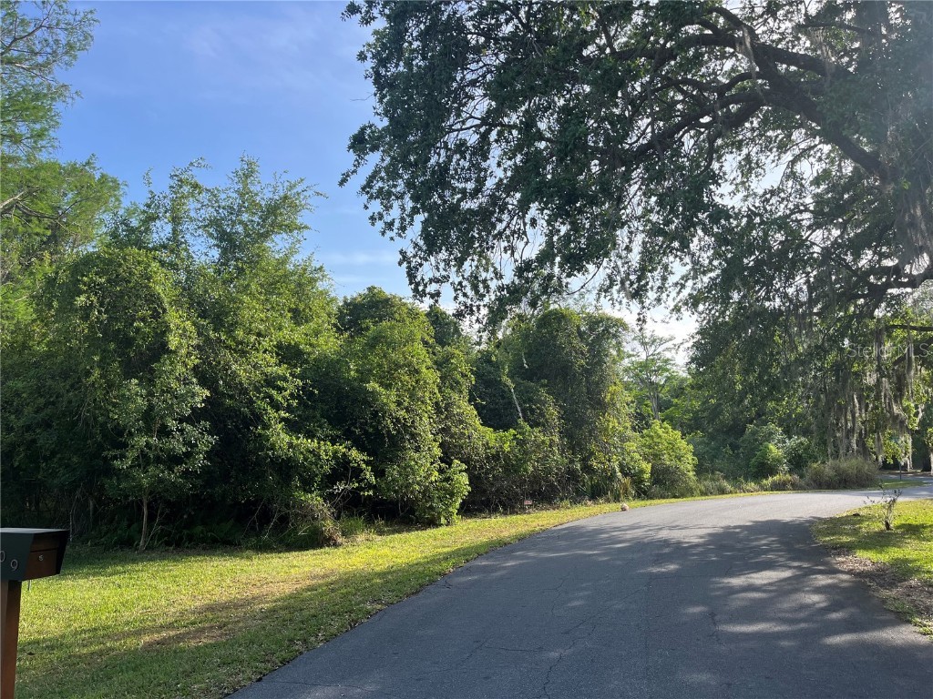 Harvest Lane Kissimmee FL 34744 O6306704 image12