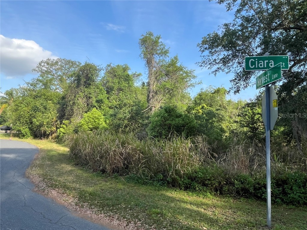 Harvest Lane Kissimmee FL 34744 O6306704 image14