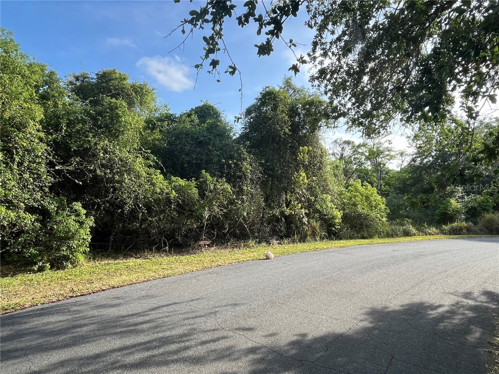 Harvest Lane Kissimmee FL 34744 O6306704 image17