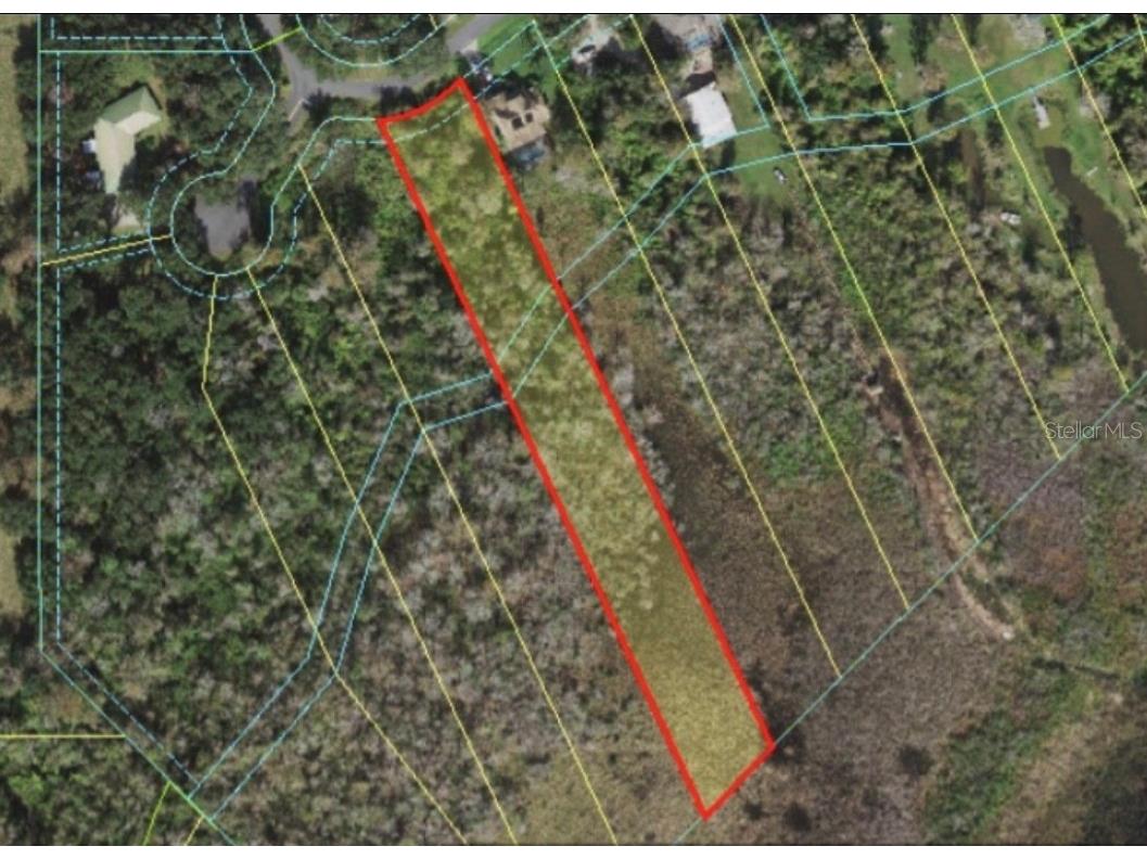 Harvest Lane Kissimmee FL 34744 O6306704 image19