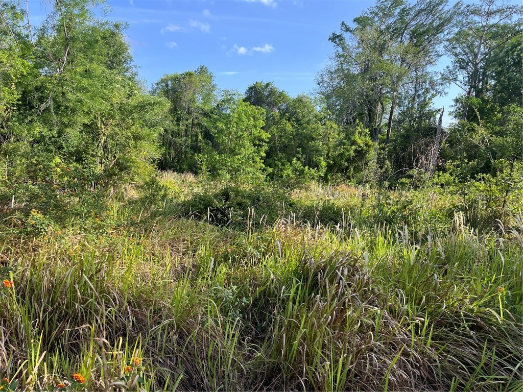 Harvest Lane Kissimmee FL 34744 O6306704 image2