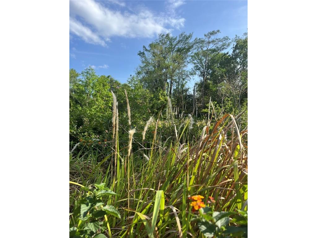 Harvest Lane Kissimmee FL 34744 O6306704 image3