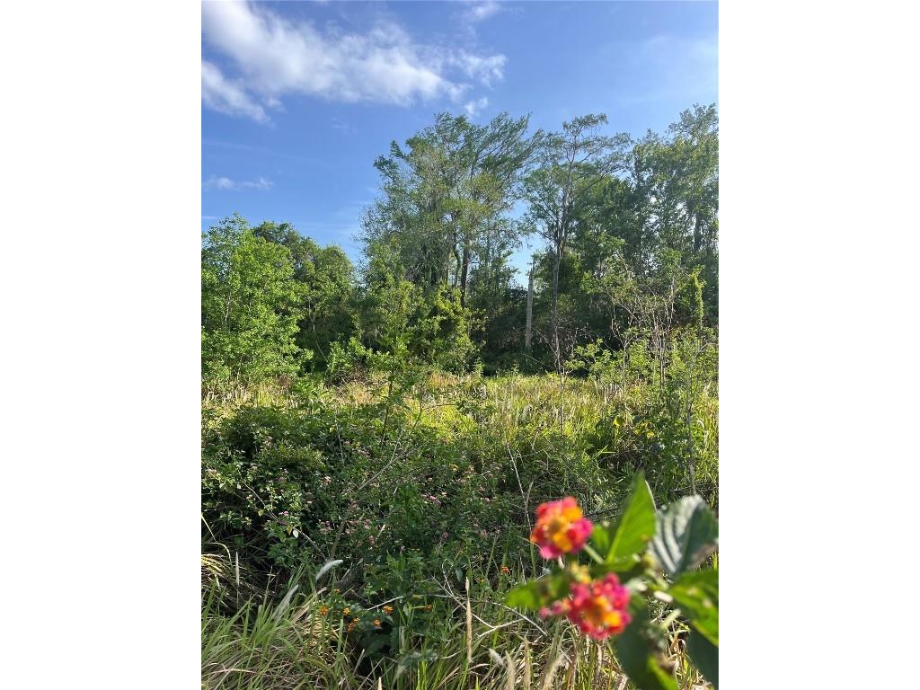 Harvest Lane Kissimmee FL 34744 O6306704 image4