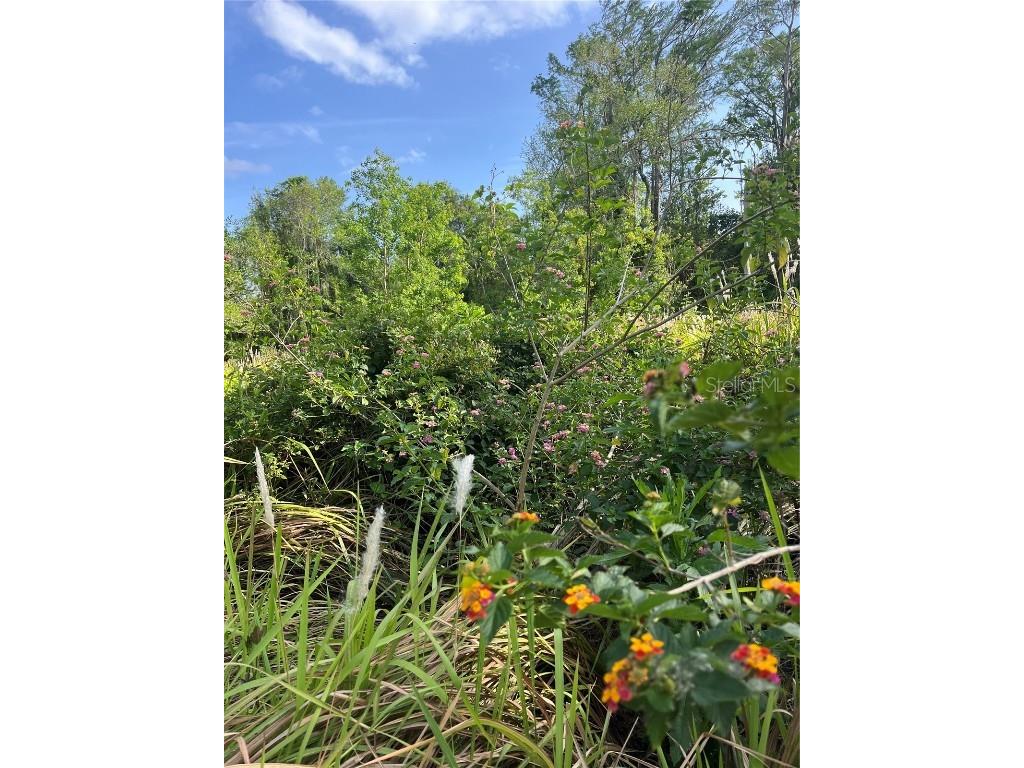 Harvest Lane Kissimmee FL 34744 O6306704 image5