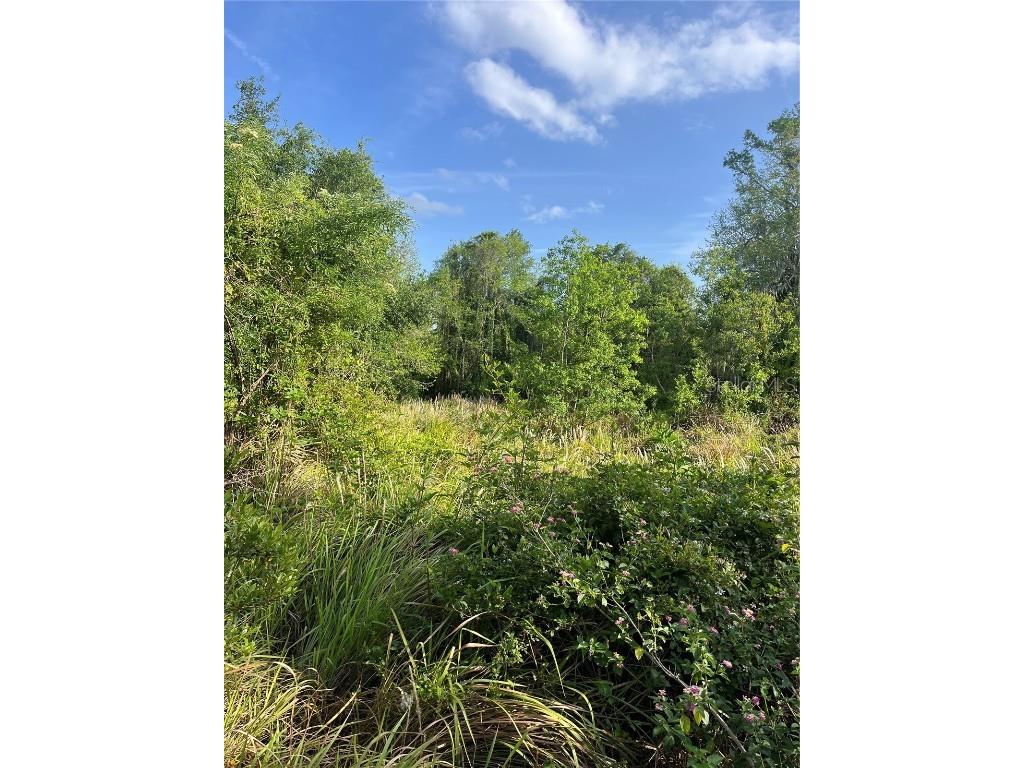 Harvest Lane Kissimmee FL 34744 O6306704 image6