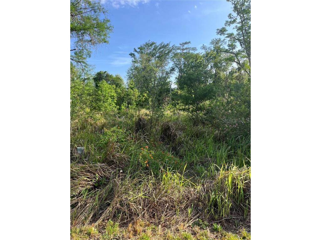 Harvest Lane Kissimmee FL 34744 O6306704 image7