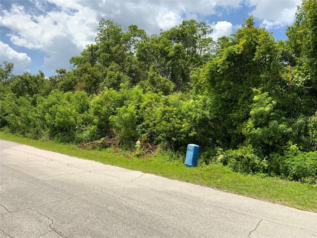 Hastings Drive Deltona FL 32725 A4571860 image10