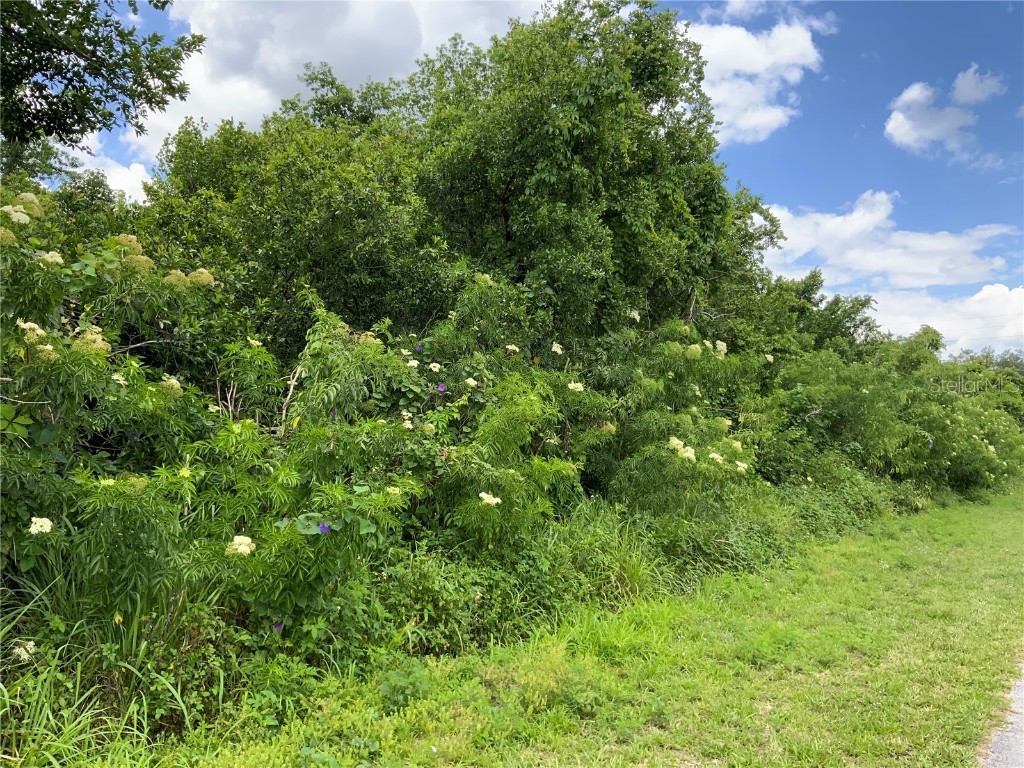 Hastings Drive Deltona FL 32725 A4571860 image6