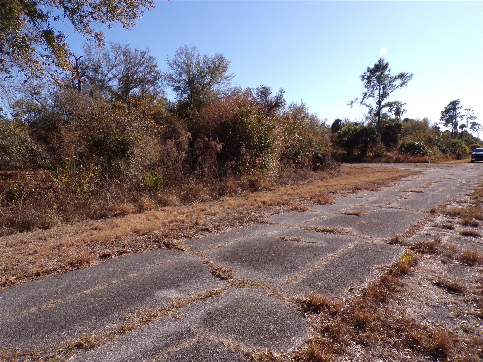 Hastings Street North Port FL 34288 C7521977 image10