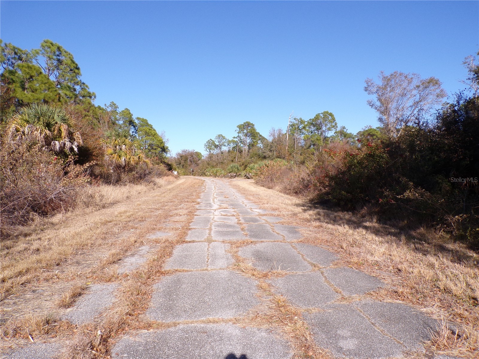 Hastings Street North Port FL 34288 C7521977 image12