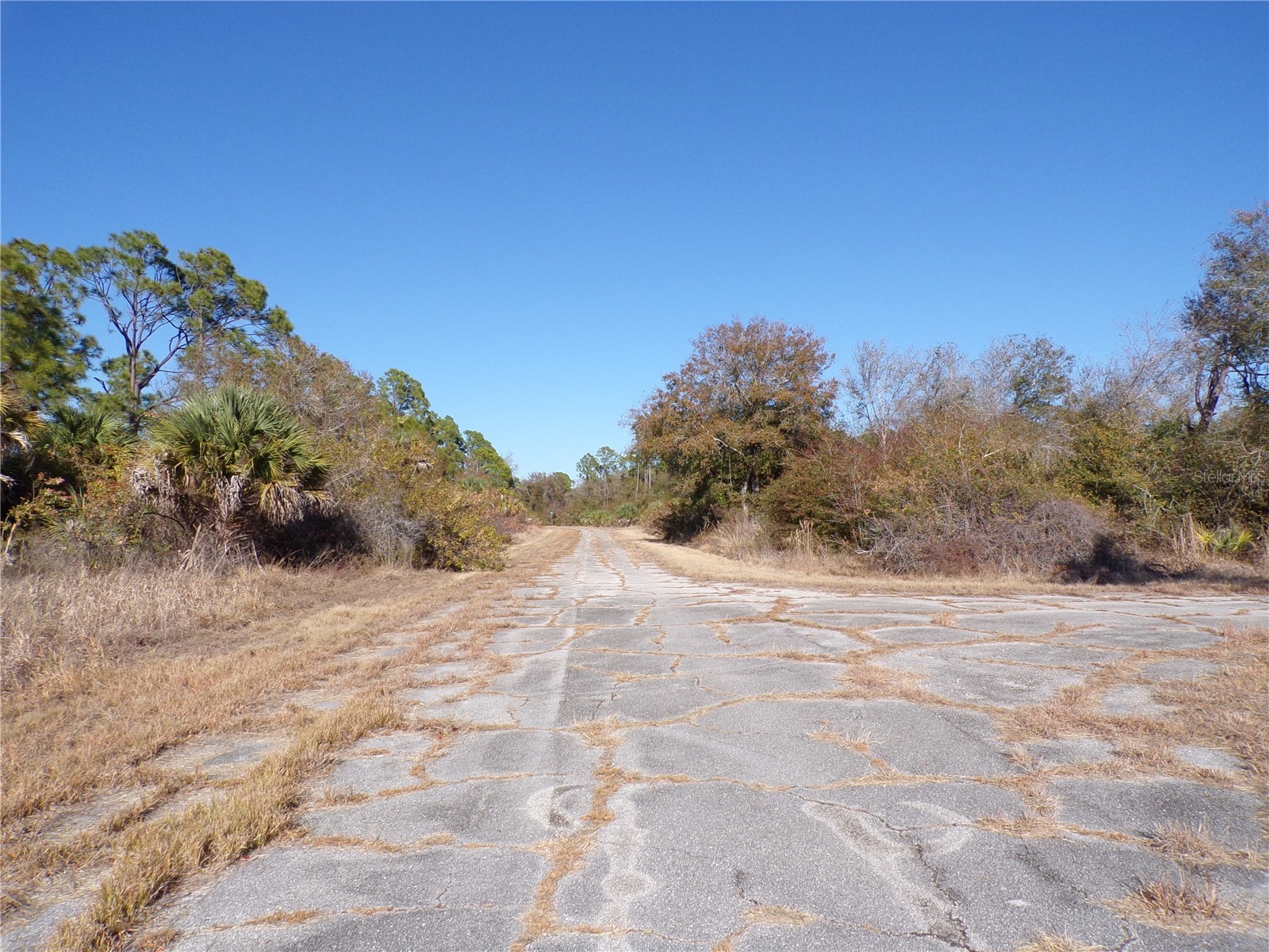 Hastings Street North Port FL 34288 C7521977 image13