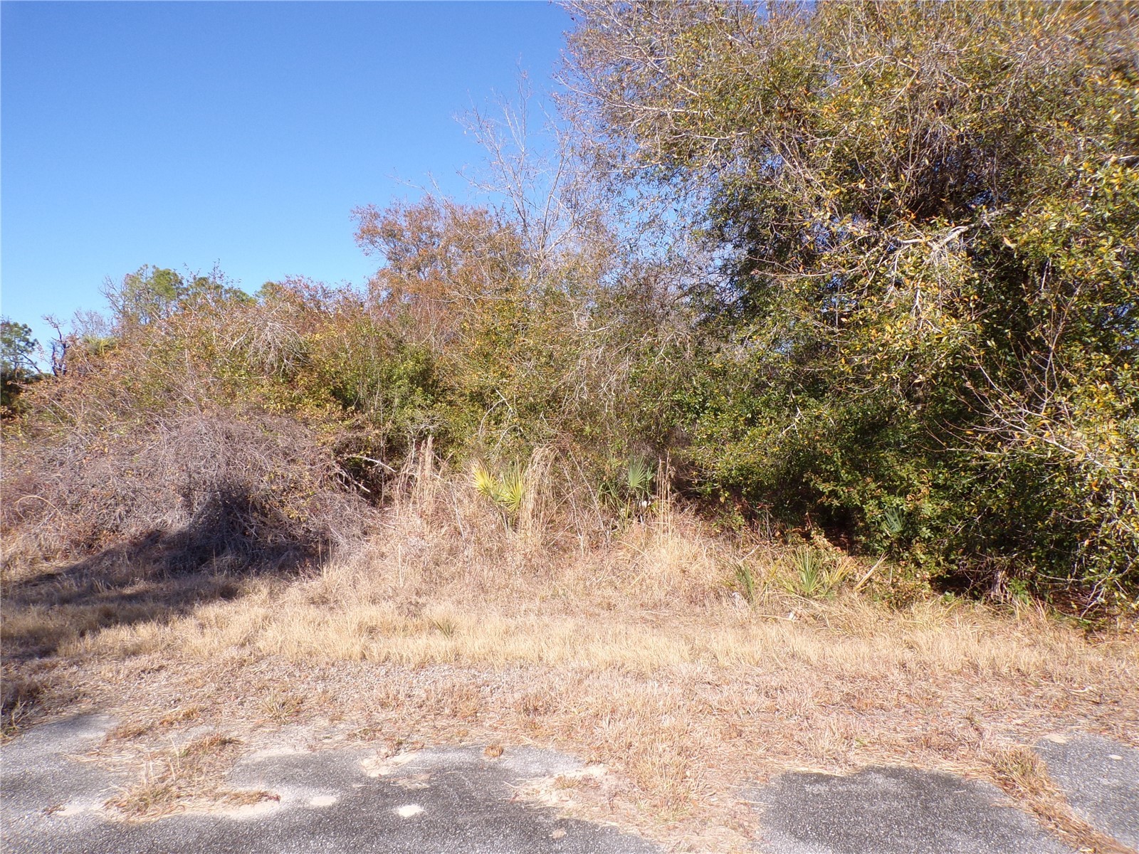 Hastings Street North Port FL 34288 C7521977 image2