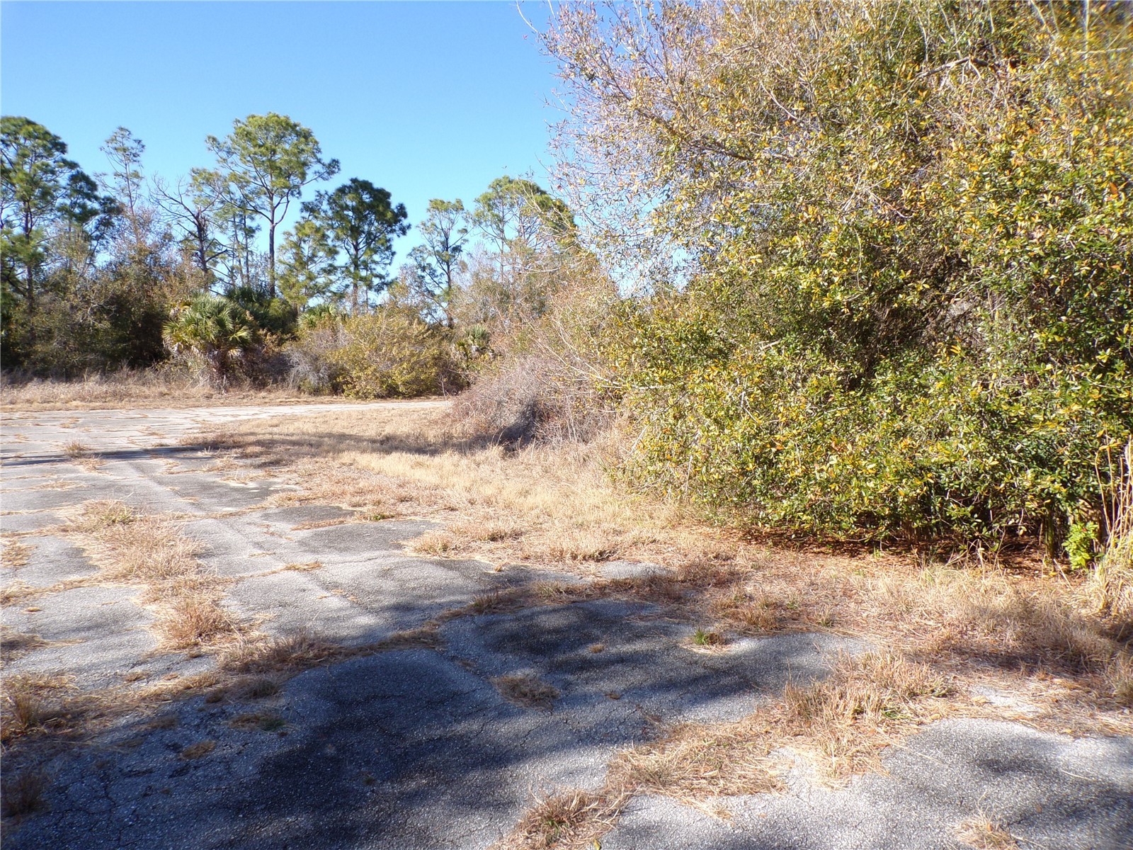 Hastings Street North Port FL 34288 C7521977 image5