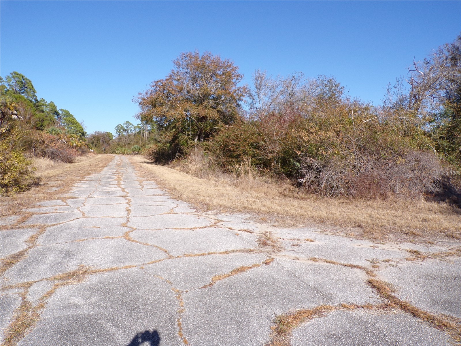 Hastings Street North Port FL 34288 C7521977 image6