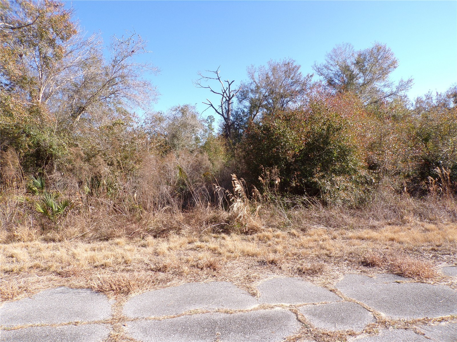 Hastings Street North Port FL 34288 C7521977 image7