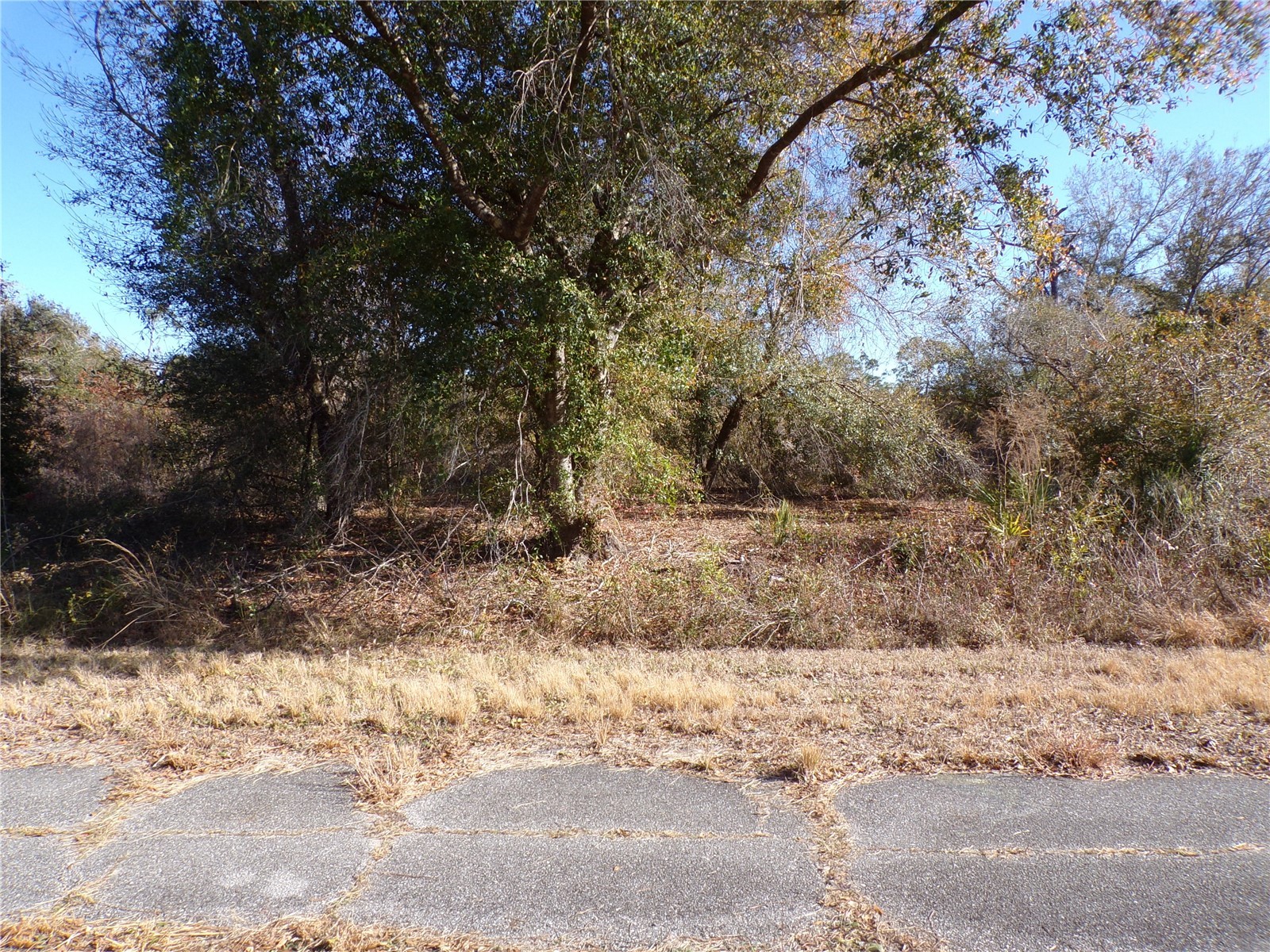 Hastings Street North Port FL 34288 C7521977 image8