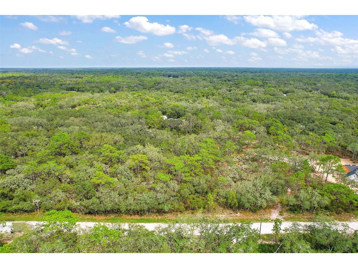 Hatteras Drive Webster FL 33597 G5073265 image1