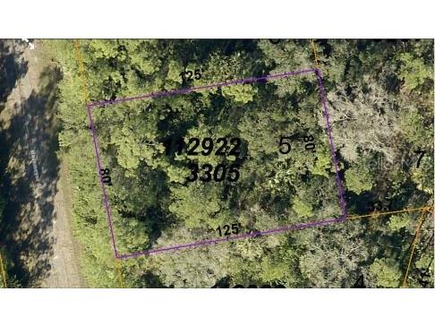 Havemeyer Street North Port FL 34288 O6186812 image3